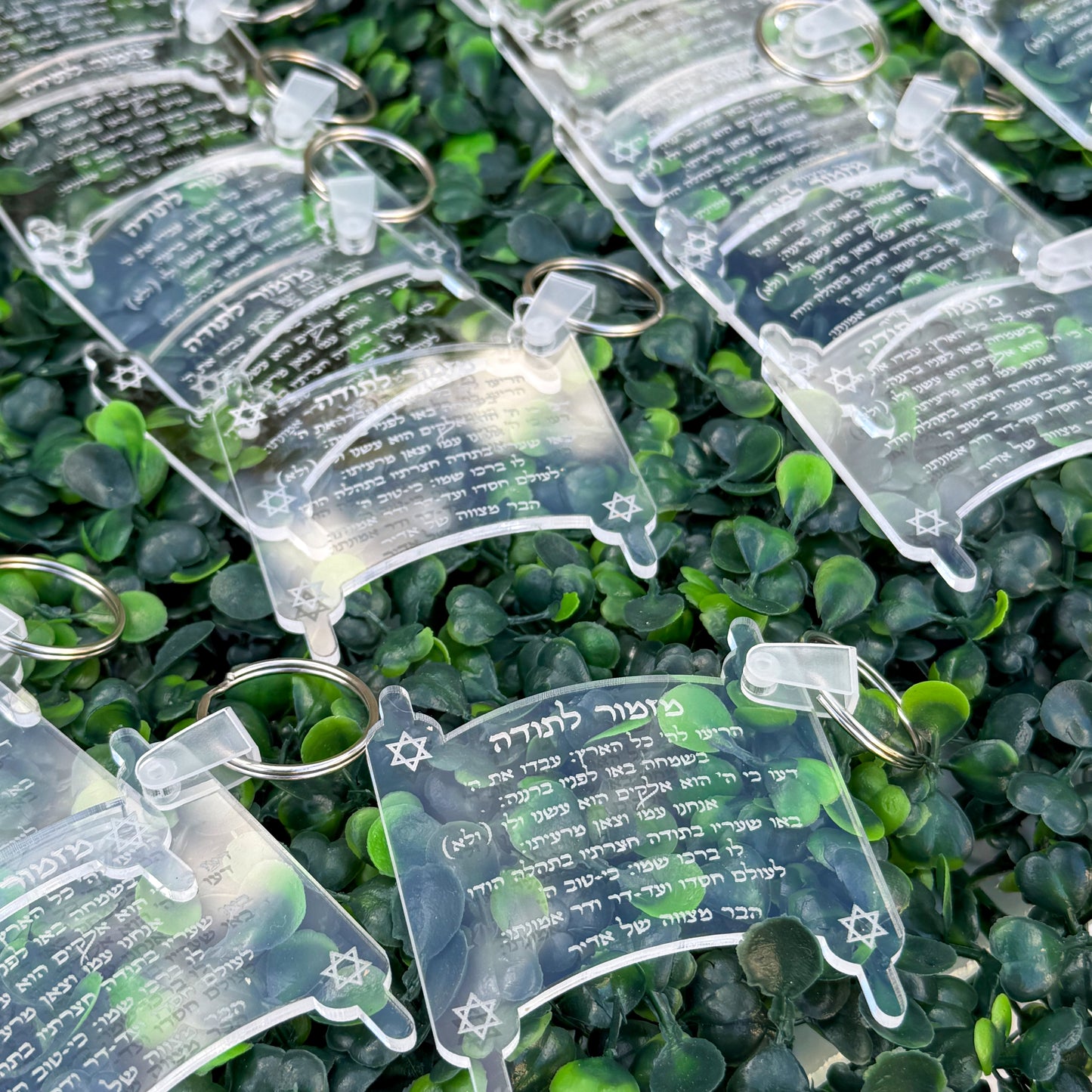Torah "Mizmor le Todah" Clear Keychain