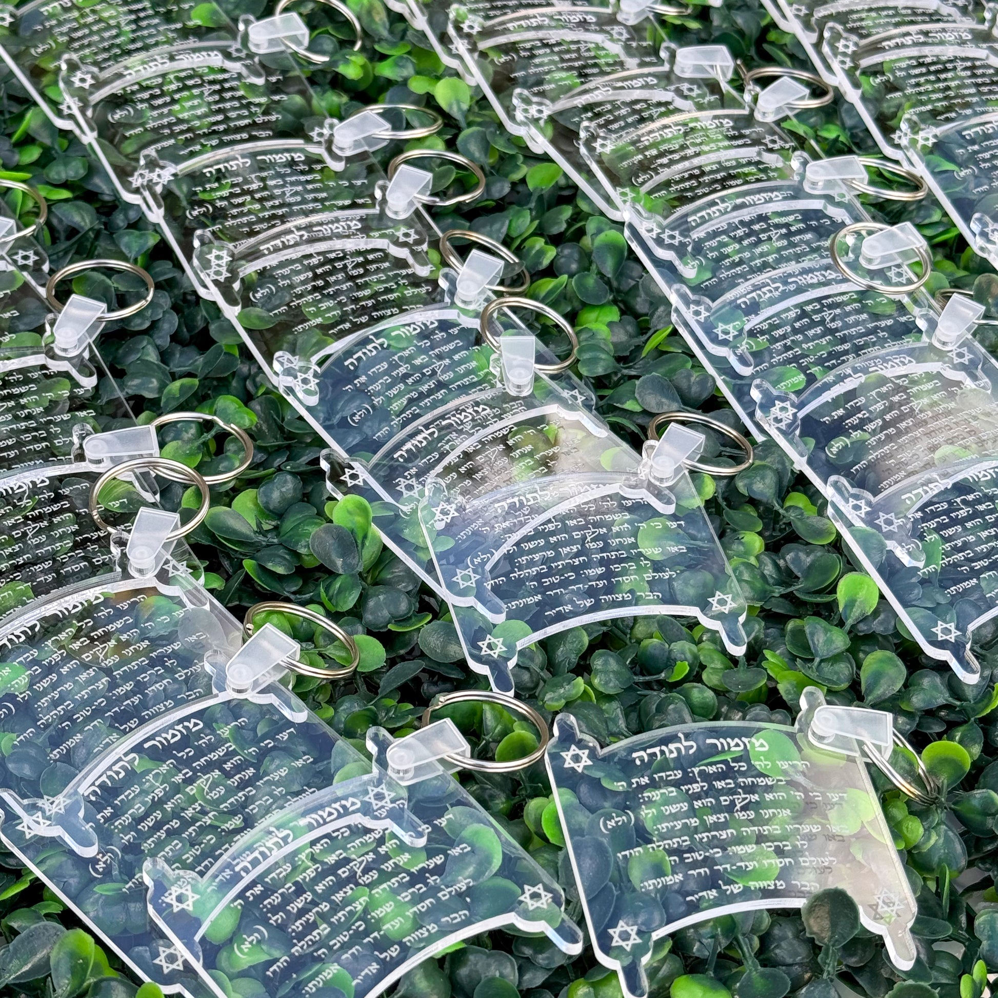 Torah "Mizmor le Todah" Clear Keychain