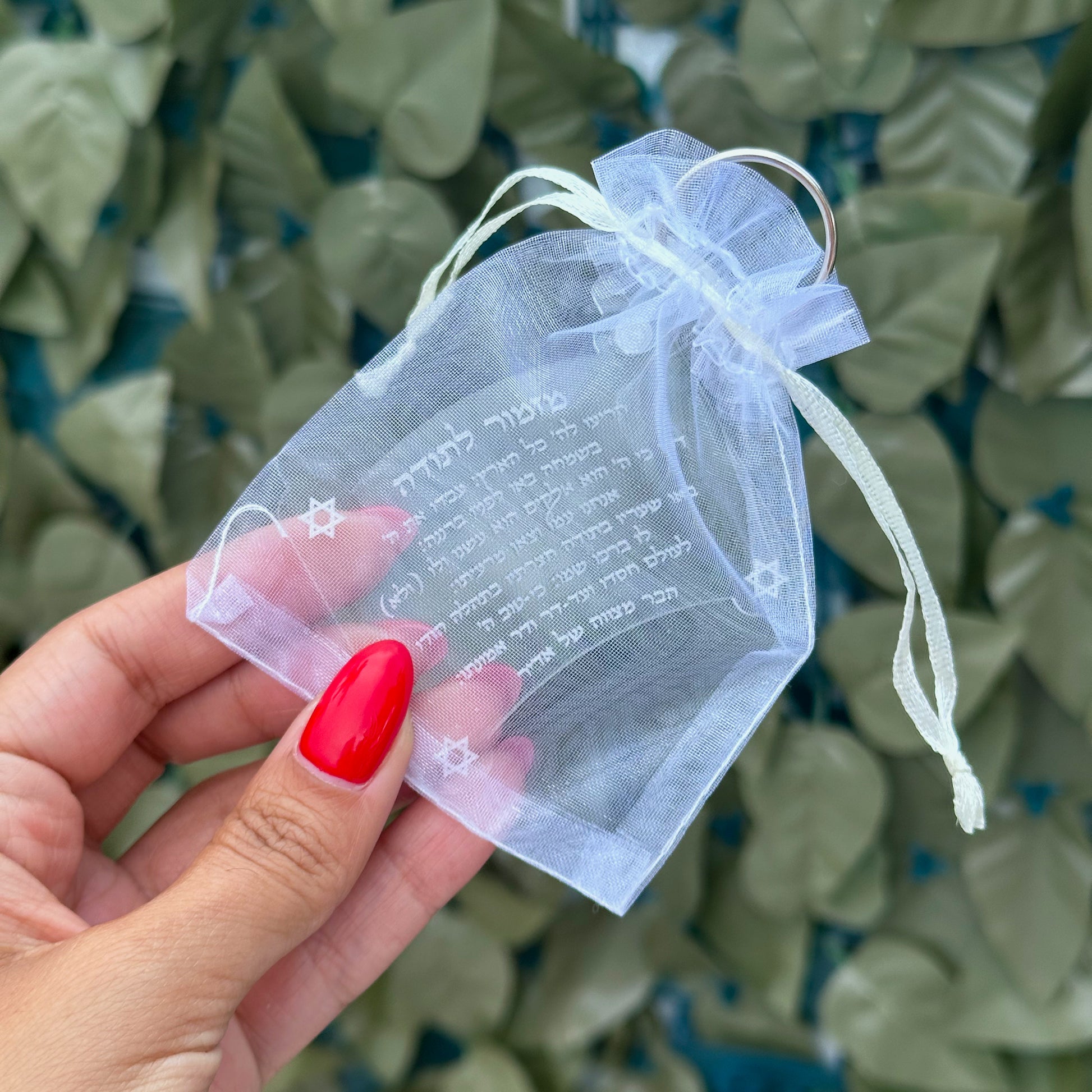 Torah "Mizmor le Todah" Clear Keychain