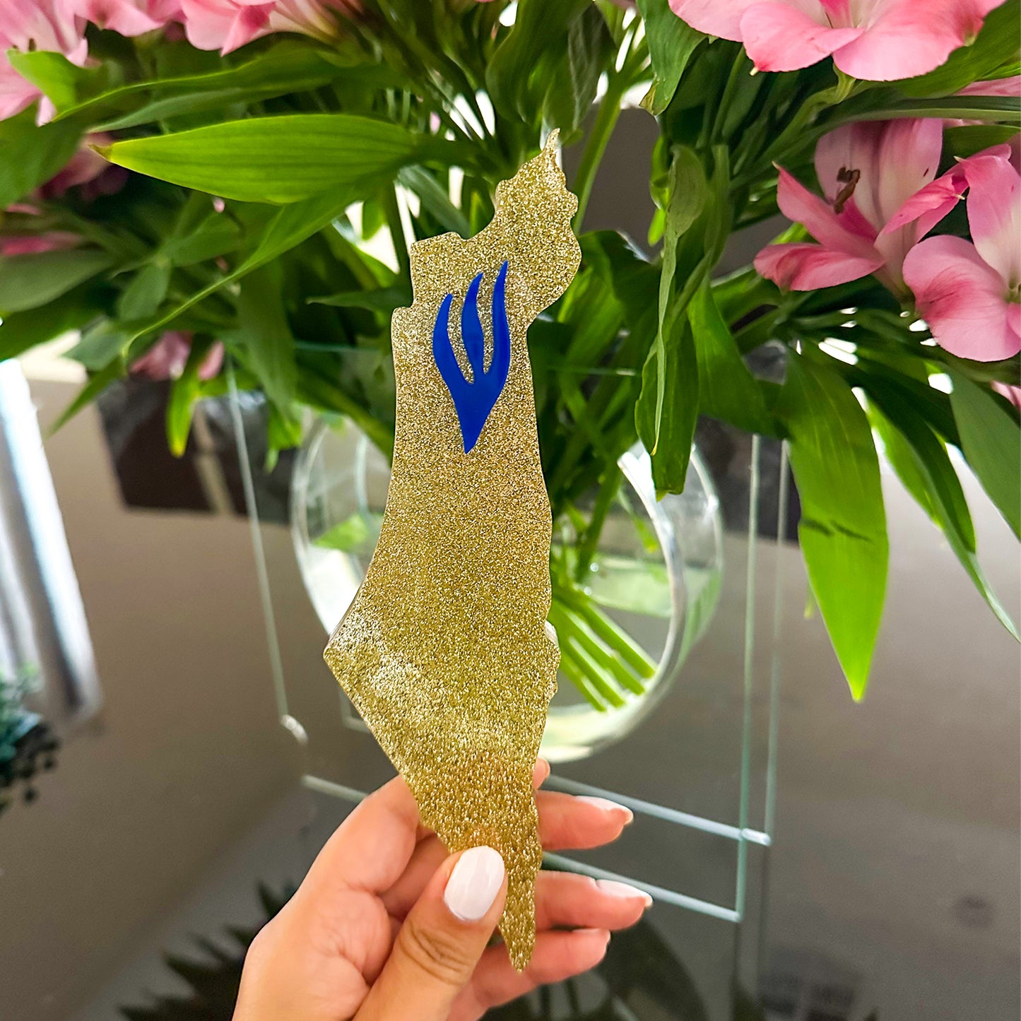 Shape of Israel Glitter Mezuzah Case