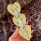 Cheetah Hearts Mezuzah