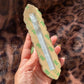Cow Scalloped Mezuzah